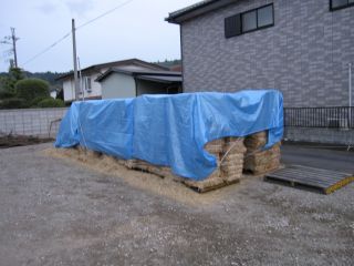 IMG_0676_320.jpg