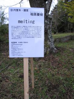 IMG_0690_320.jpg